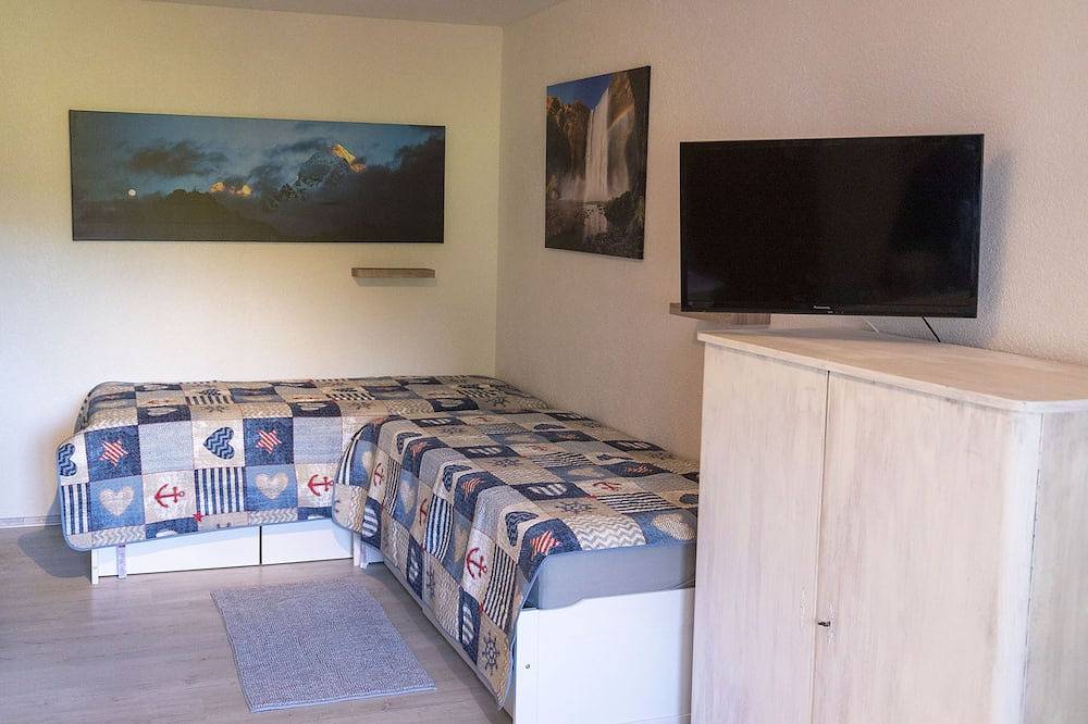 Ganze Wohnung, Einzimmerappartement mit Miniküche und Balkon in Wald-Michelbach, Bergstraße