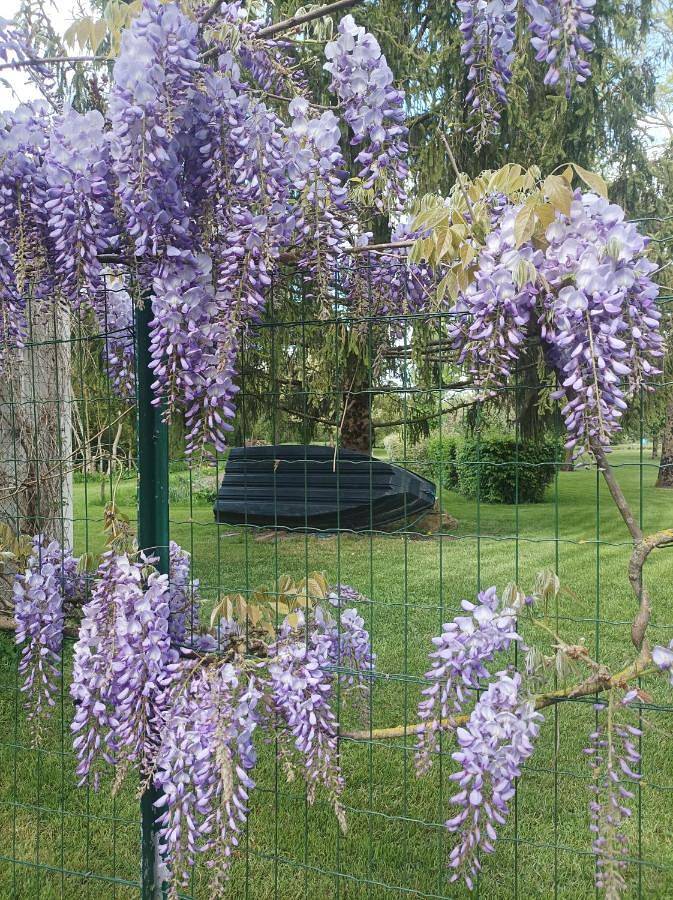 Gîte pour 6 personnes, avec vue ainsi que jardin et piscine à Saint-Hilaire-la-Palud - 2