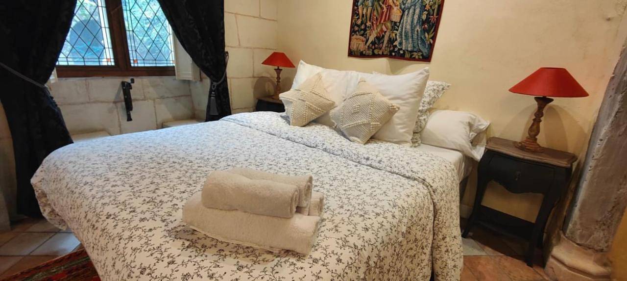 Double Room with Terrace in Amboise, Tours region