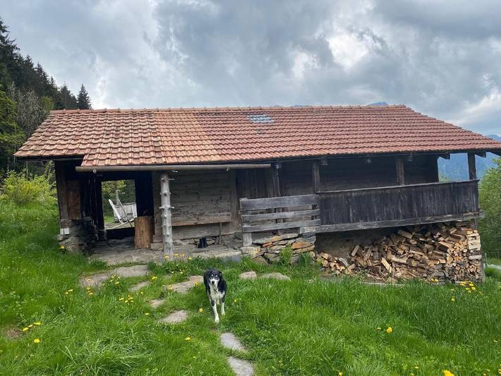 Hütte Alp Schneit für 2 Gäste / Ostern bis Oktober in Gündlischwand, Verwaltungskreis Interlaken-Oberhasli