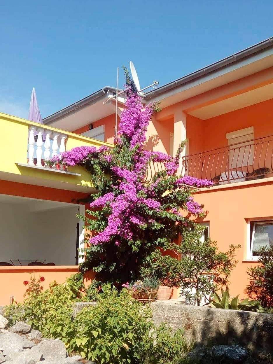 Apartman s terasom, foto 14