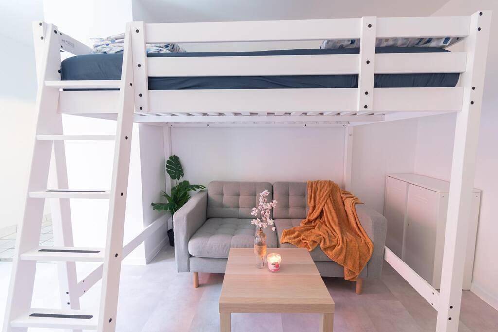Appartement entier, One-Bedroom Apartment in Le Kremlin-Bicêtre, Val-de-Marne