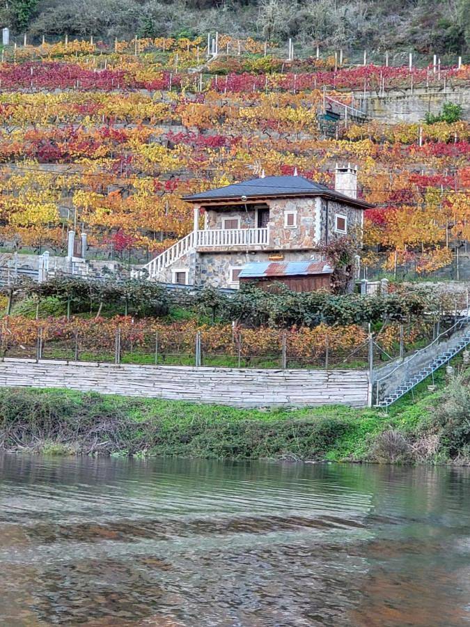 Casa rural para 2 personas, con Balcón y Terraza además de Jardín y Vistas en Guntín - 4