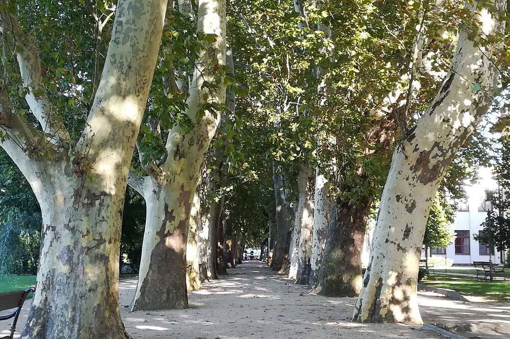 Ganze Wohnung, Ferienwohnung nähe zum Stadtzentrum im Grüngürtel mit Klimaanlage in Siofok, Siófok und Umgebung