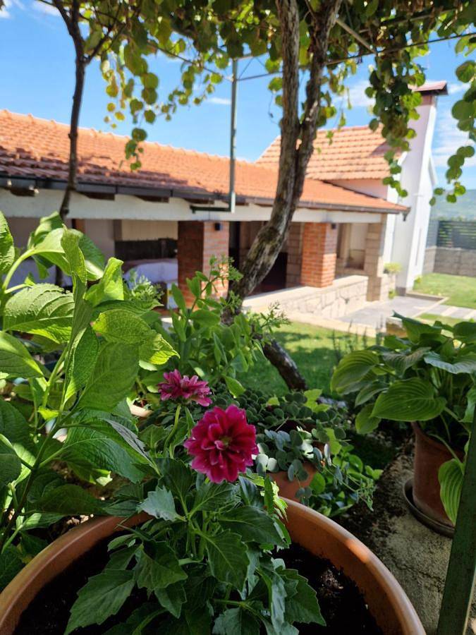 Villa with Private Pool in Imotski, Makarska Riviera