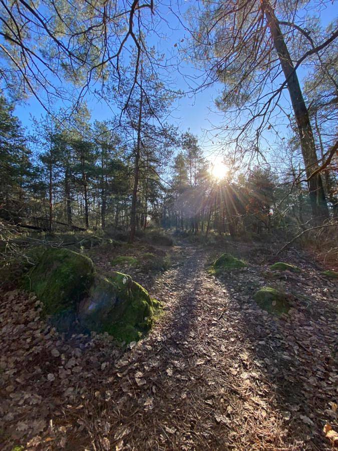 Chambre d’hôte pour 2 personnes, avec terrasse ainsi que jardin et vue à Paimpont - 2