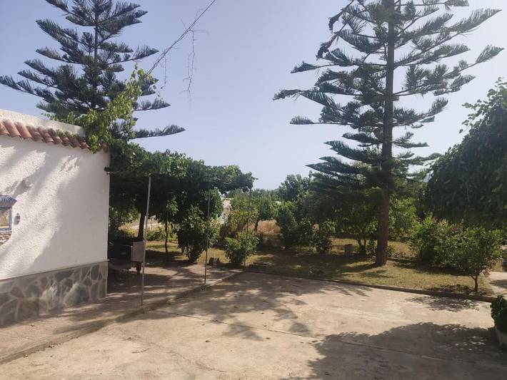 Casa rural para 5 personas, con Terraza y Jardín en Adra - 4