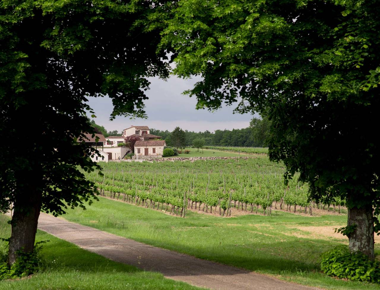 Maison de vacances au coeur d'un Vignoble in Villeneuve-de-Duras, Région de Marmande