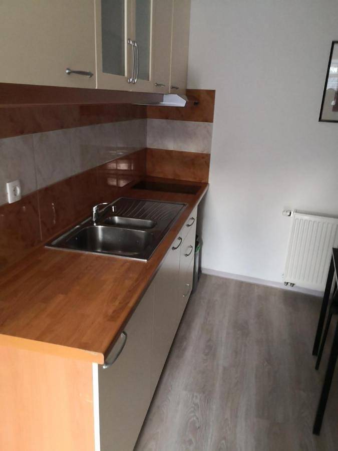 Maison d’hôte pour 6 personnes, avec jardin et vue à Kranjska Gora - 4