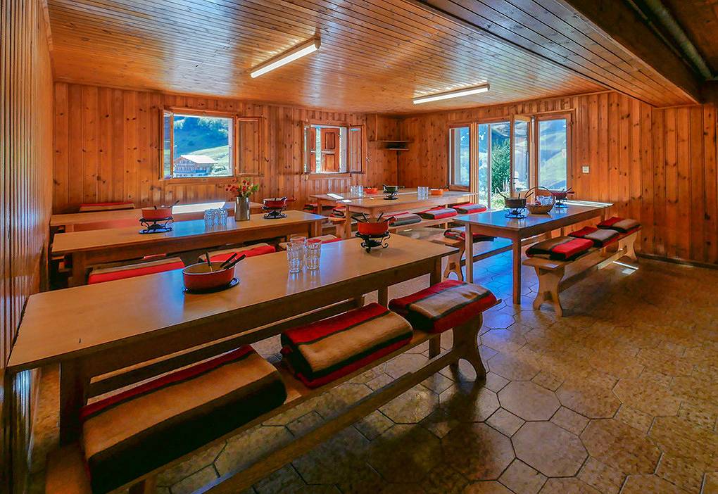 Holiday home for 52 people with view in Les Crosets, Val-d'Illiez