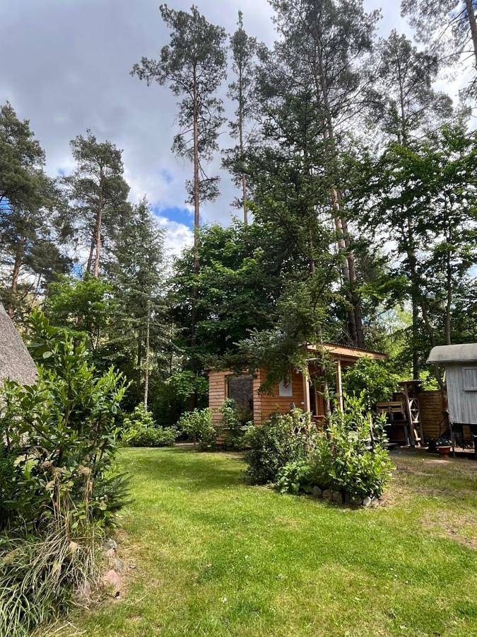 Ferienhaus für 5 Personen, mit Garten und Ausblick sowie Sauna in Biosphärenreservat Schorfheide Chorin - 2