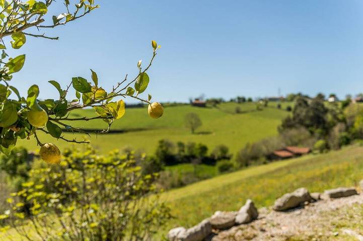 Appartement de vacances pour 4 personnes, avec jardin, animaux acceptés - 1