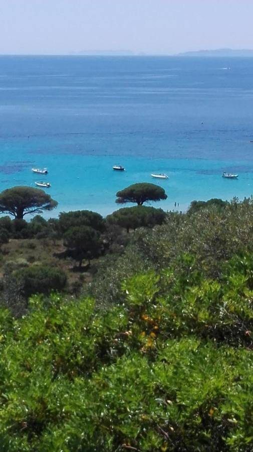 Location de vacances pour 4 personnes, avec vue et jardin dans Plage de la Palombaggia - 2