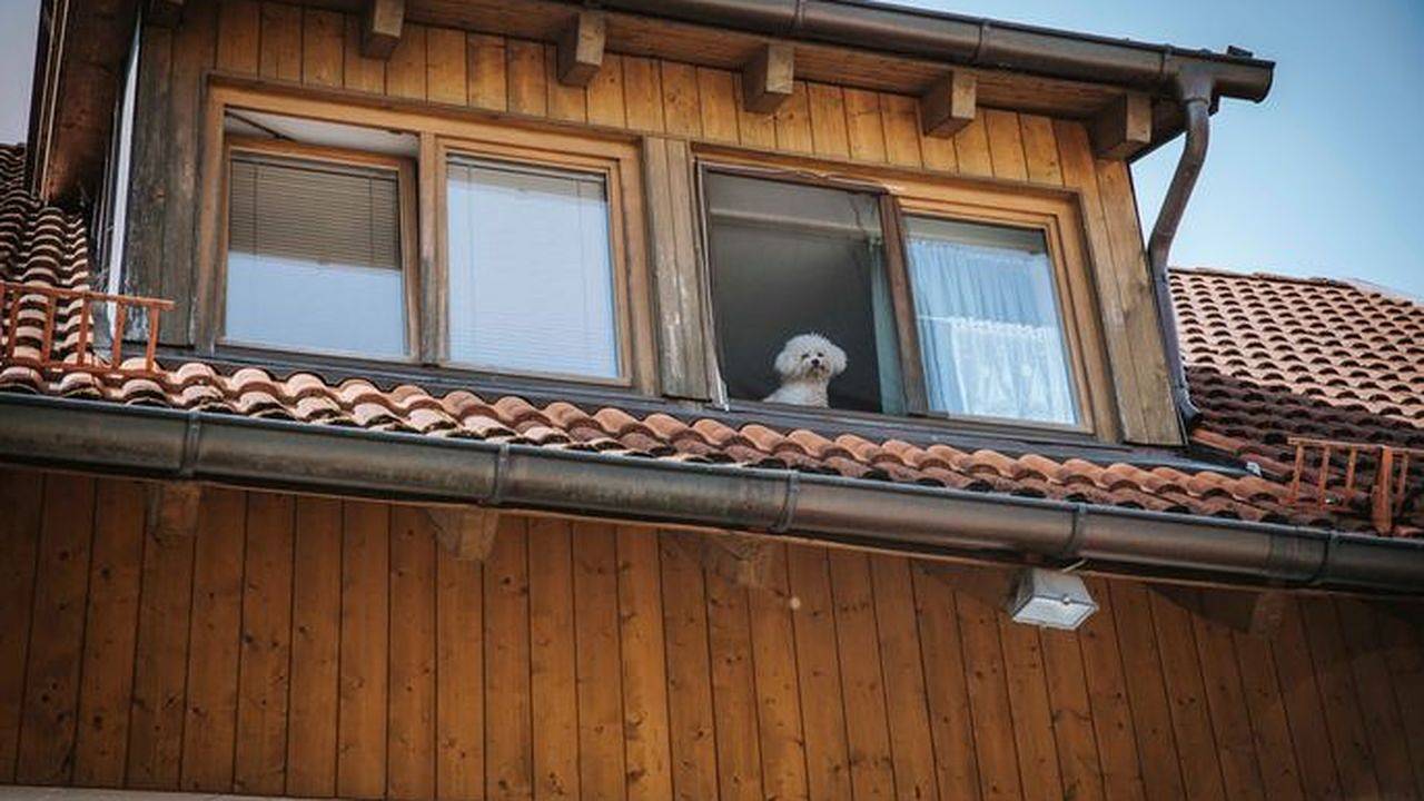 Ganze Ferienwohnung, Ferienwohnung für 6 Personen (60 m²) in Dießen Am Ammersee in Dießen am Ammersee, Ammersee