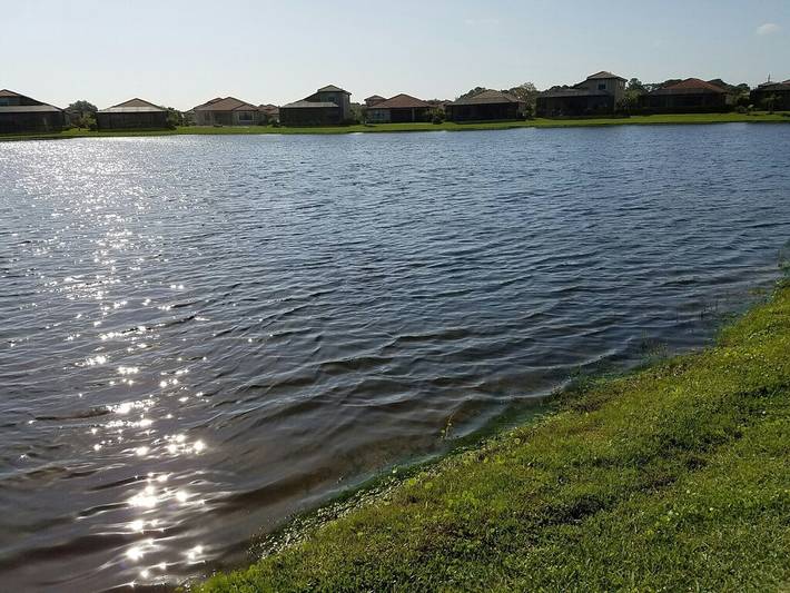 Vacation rental for 6 people, with garden and terrace as well as hot tub and pool in Venice (FL)