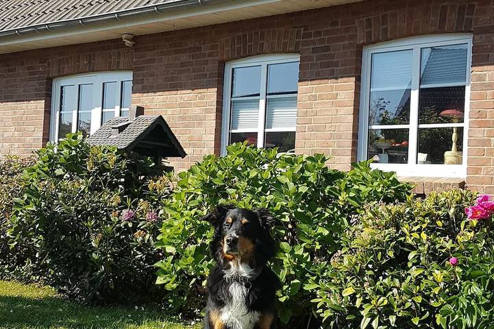 Ferienwohnung für 4 Personen, mit Garten in Klanxbüll