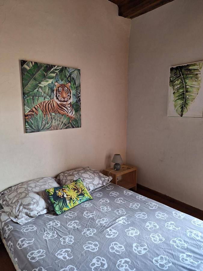 Location de vacances pour 5 personnes, avec vue, animaux acceptés à Montolieu - 3