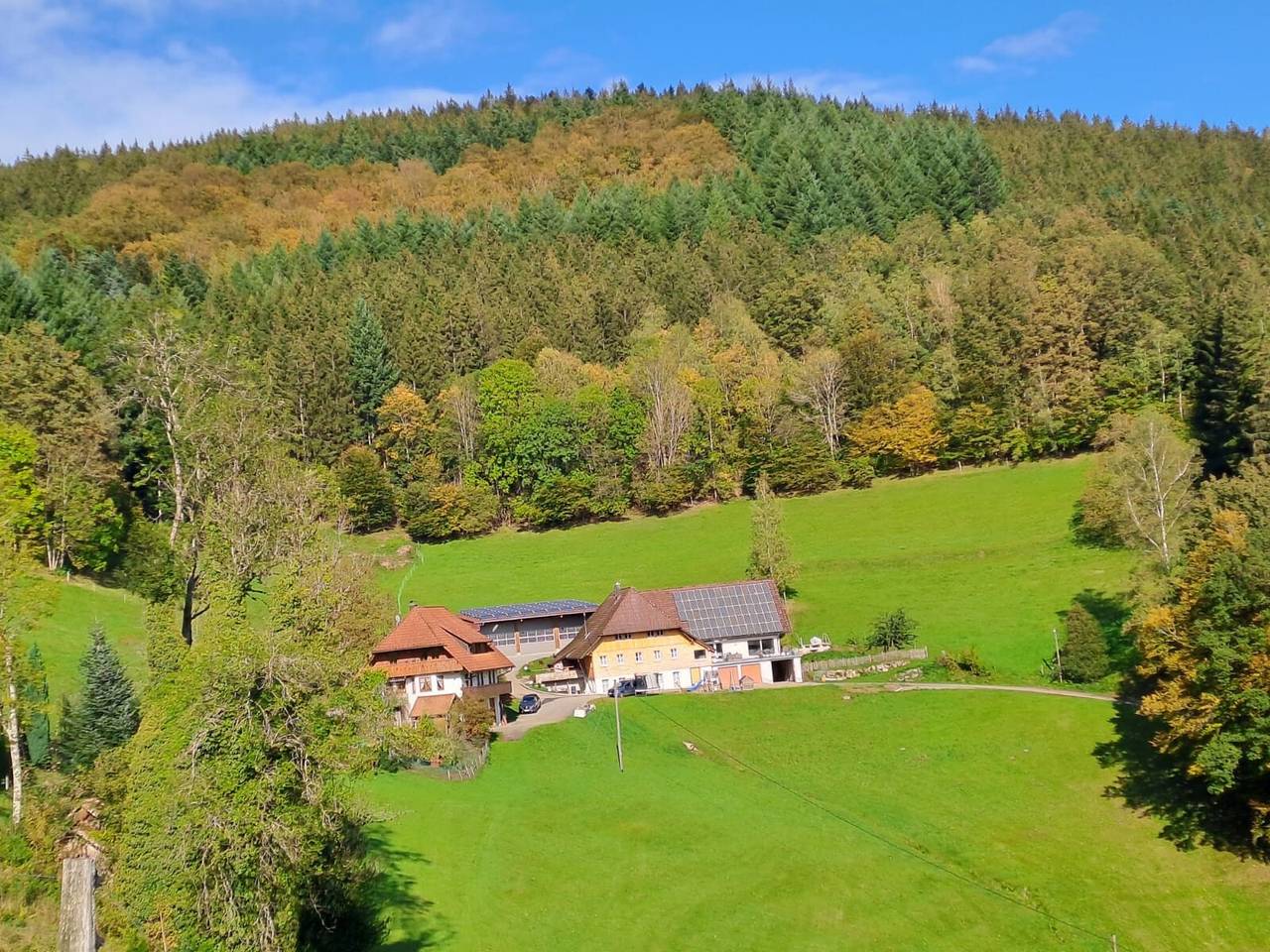 Ganze Wohnung, Apartment 'Hof' mit Bergblick, privater Terrasse und Wlan in Wolfach, Kinzigtal