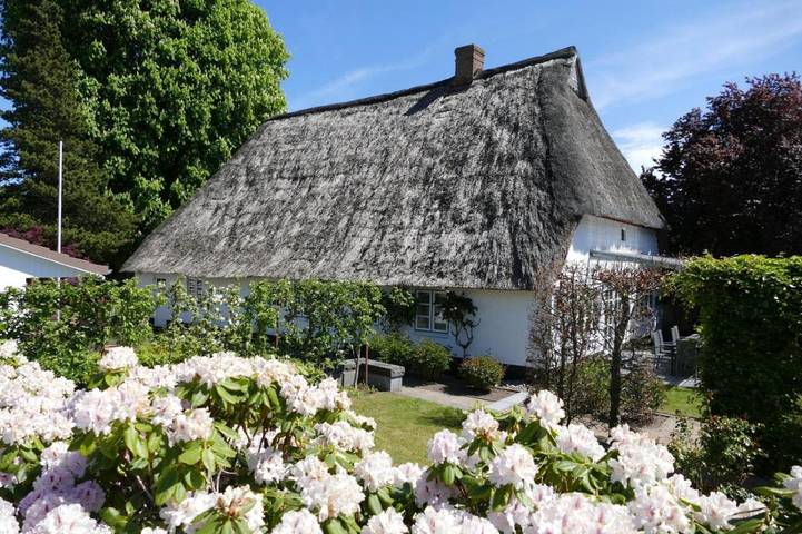 Ferienhaus für 8 Personen, mit Terrasse, mit Haustier - 1