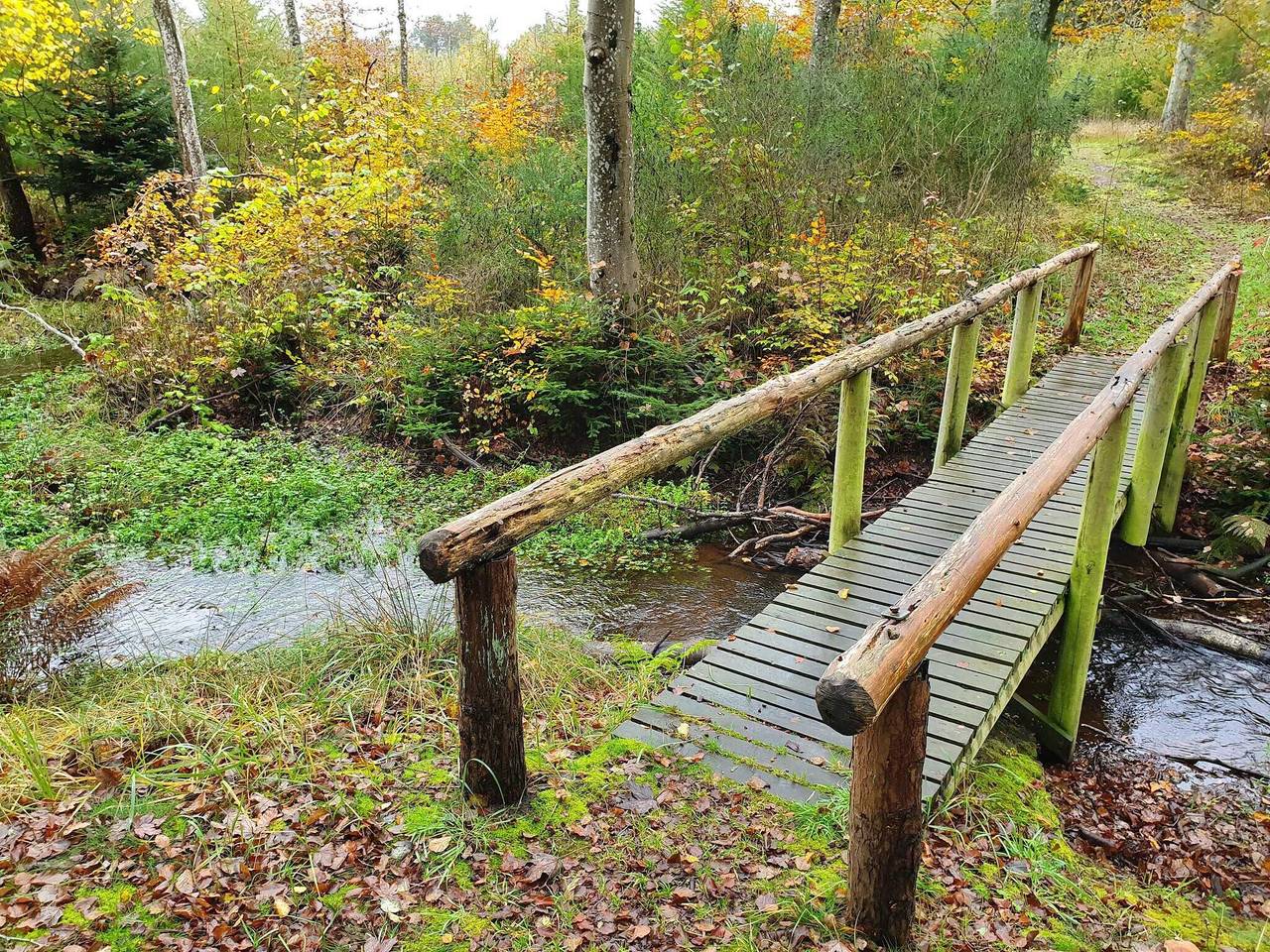 7 Personen Ferienhaus in Frederikshavn in Nordostjütland