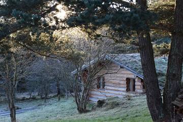 Gîte pour 5 personnes, avec jardin ainsi que sauna et terrasse, animaux acceptés à Fay-sur-Lignon