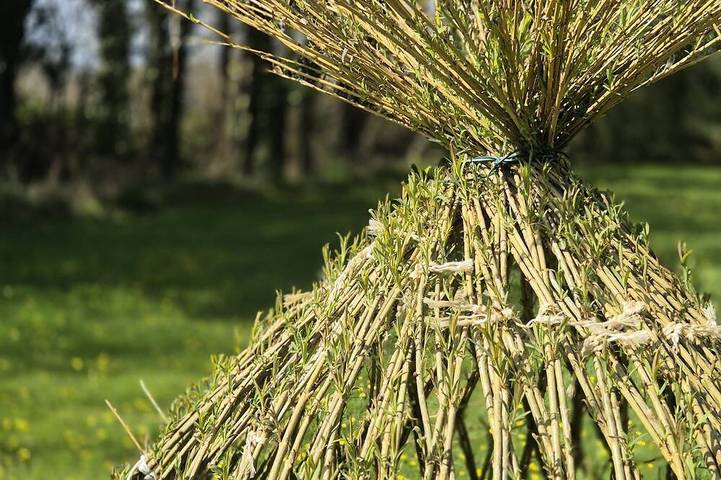 Longère traditionnelle bretonne tout confort avec jardin, poêle à bois et sauna in Trégunc, Côte de Cornouaille