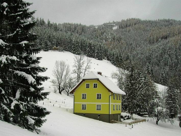 Ferienhaus für 10 Personen, mit Garten und Sauna in Hochsteiermark