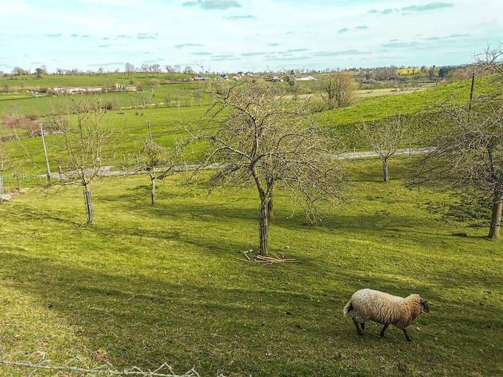 Location de vacances pour 2 personnes, avec jardin ainsi que vue et terrasse, animaux acceptés dans Souleuvre-en-Bocage - 4