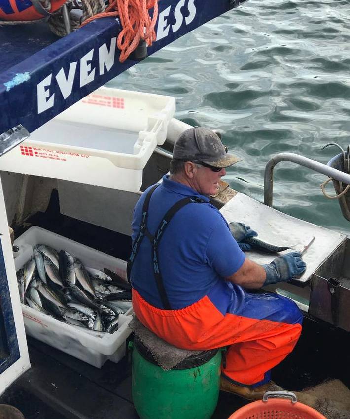 Gîte pour 3 personnes à Stonehaven - 4