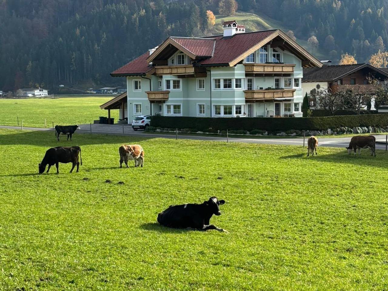 Ganze Ferienwohnung, Fewo Bachler - Appartement/Fewo, Bad, Wc, Erdgeschoß/Parterre in Loferer und Leoganger Steinberge, Kirchdorf in Tirol