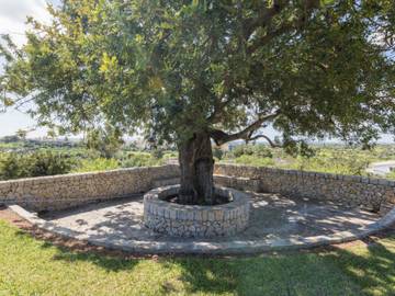 Ferienhaus in Inca, Mallorca Inselmitte für 8 