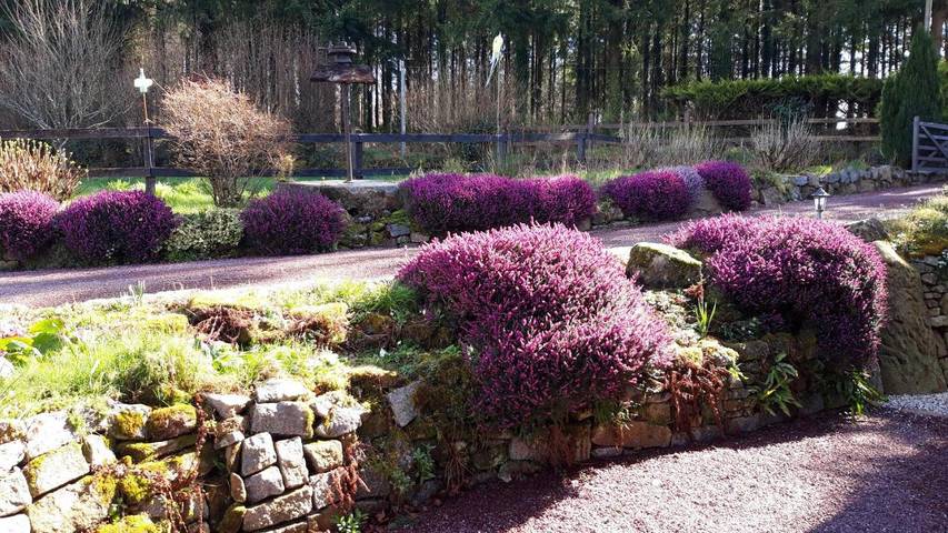 Gîte pour 4 personnes, avec terrasse et jardin à Champ-du-Boult - 3