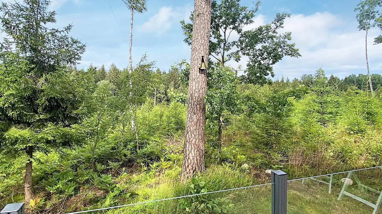 Ferienhaus für 5 Personen (60 m²) in Tenhult in Jönköping, Jönköpings län