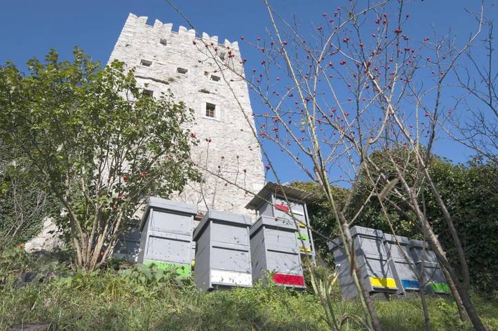 Gîte pour 4 personnes, avec terrasse et vue dans Štanjel - 4