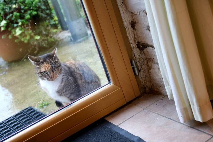 Gîte für 3 Personen, mit Garten in Quimper und Umgebung - 3