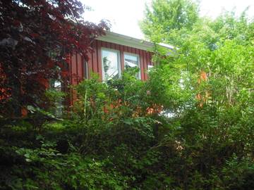 Ferienhaus für 3 Personen in Extertal, Kreis Lippe, Bild 4