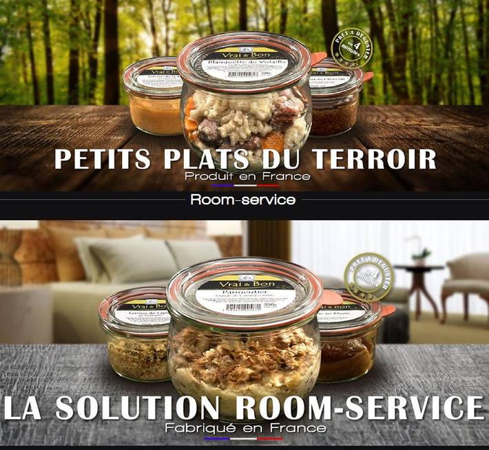 Hôtel pour 5 personnes, avec jardin et jacuzzi, animaux acceptés à Briare - 4