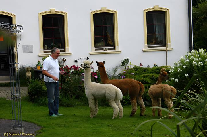 Appartement de vacances pour 4 personnes - 1