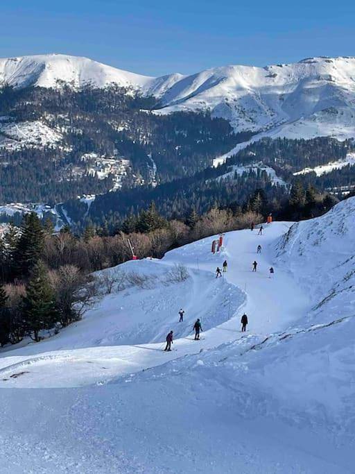 Location de vacances pour 8 personnes, avec jardin et balcon à Marchastel - 2