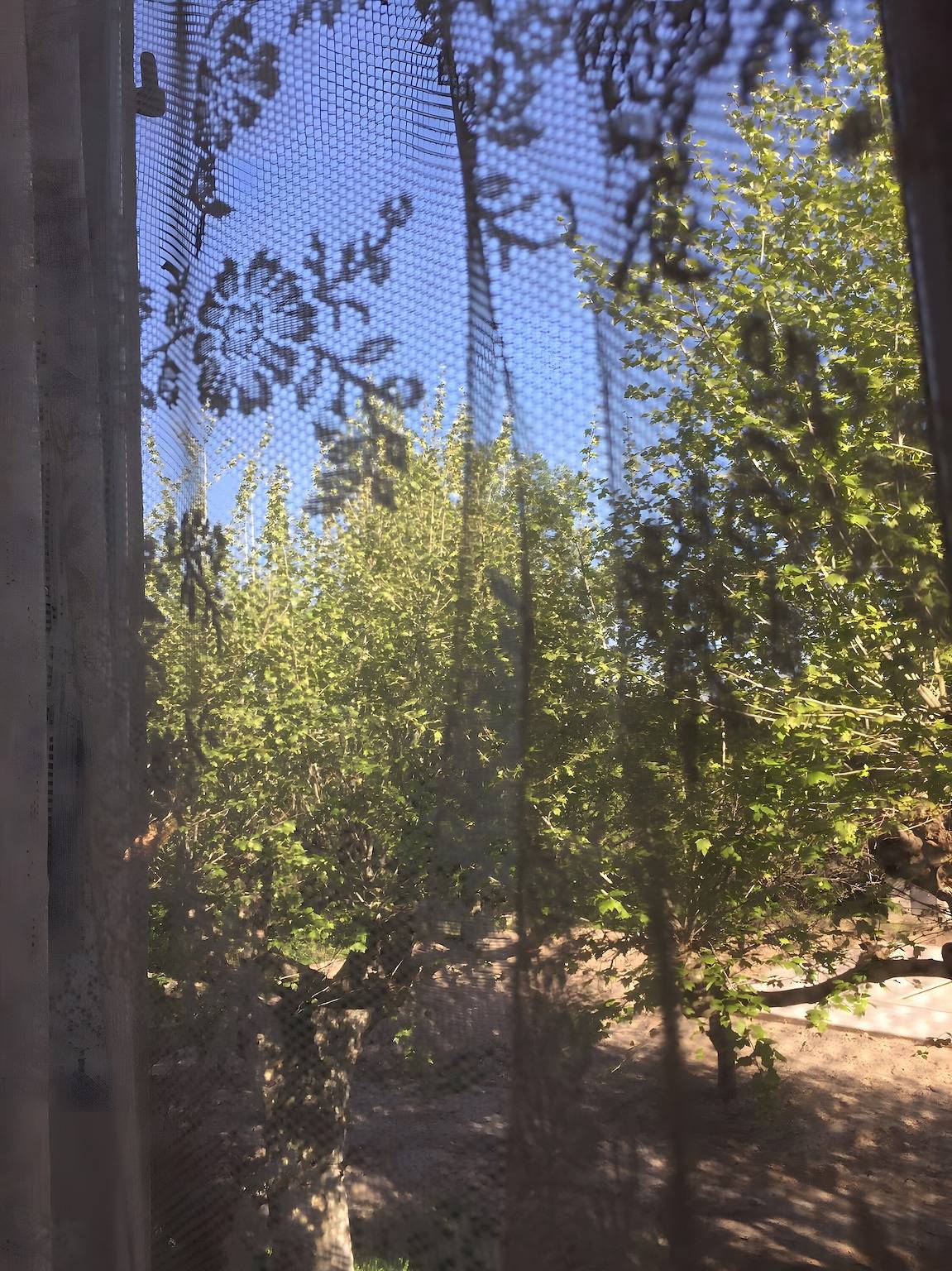 Chambre « Jonathan » avec piscine partagée, jardin commun et Wi-Fi in Saint-Rémy-de-Provence, Région d'Arles