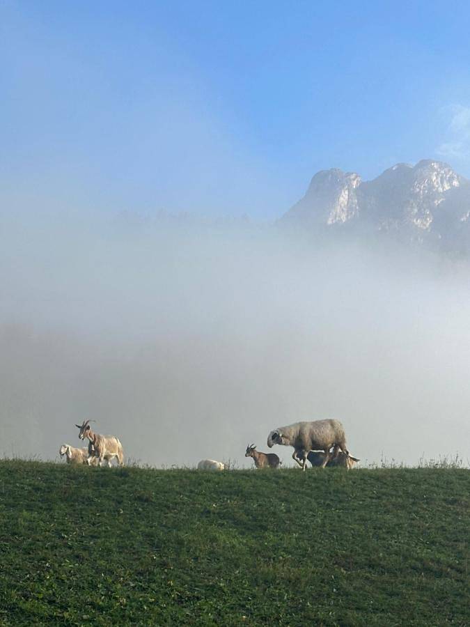Landhaus für 3 Personen, mit Terrasse und Garten in Trentino-Südtirol - 4