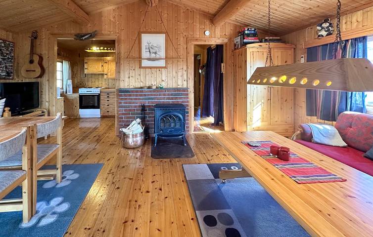 Location de vacances pour 8 personnes, avec jardin et terrasse, animaux acceptés dans Trysil - 4