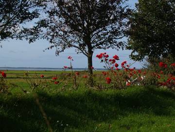 Ferienhaus Mit Meerblick für 6 Personen in Witsum, Föhr, Bild 1