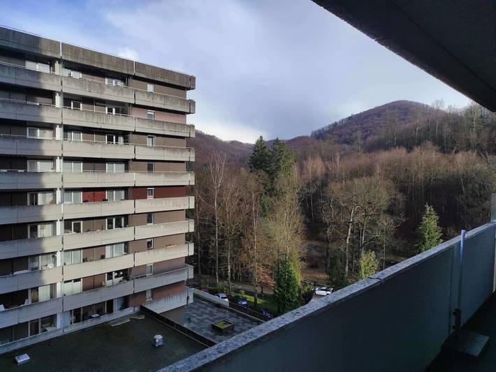 Ferienwohnung für 4 Personen, mit Balkon und Sauna in Bad Harzburg