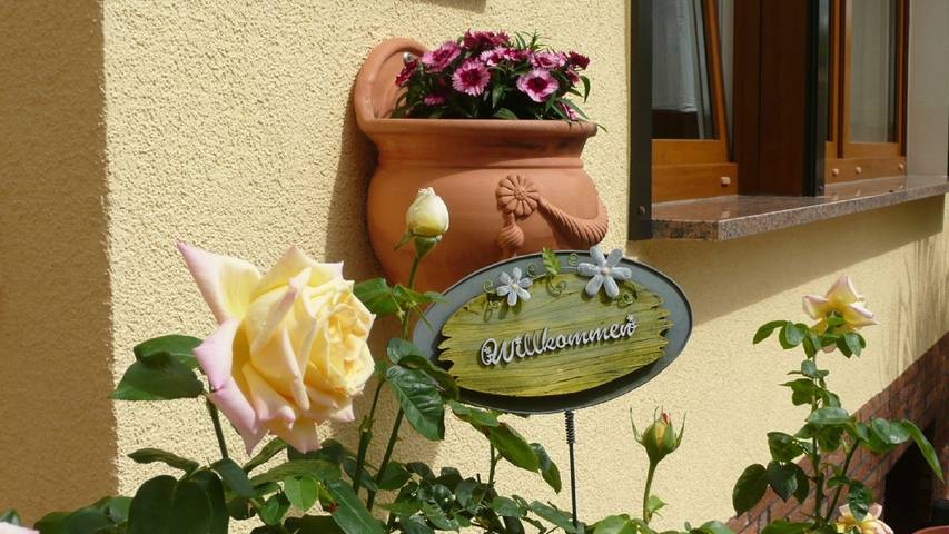 Ganze Ferienwohnung, Ferienhaus Weber - Ferienhaus unten mit einem Raum (3 Sterne) in Bad Frankenhausen, Region Kyffhäuser