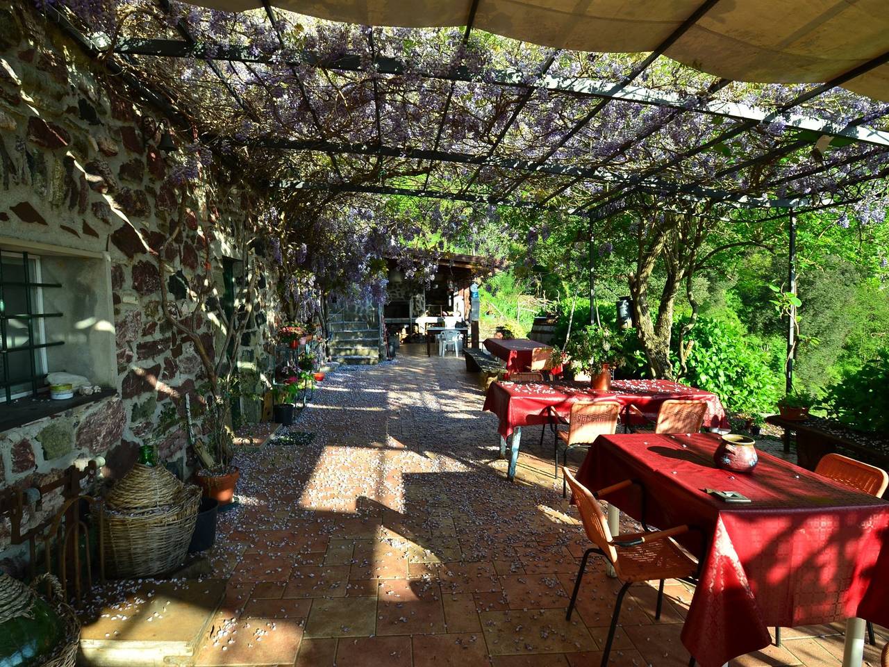 Rückzugsort am Hang in der Nähe von 5 Terre in Casarza Ligure, Riviera di Levante