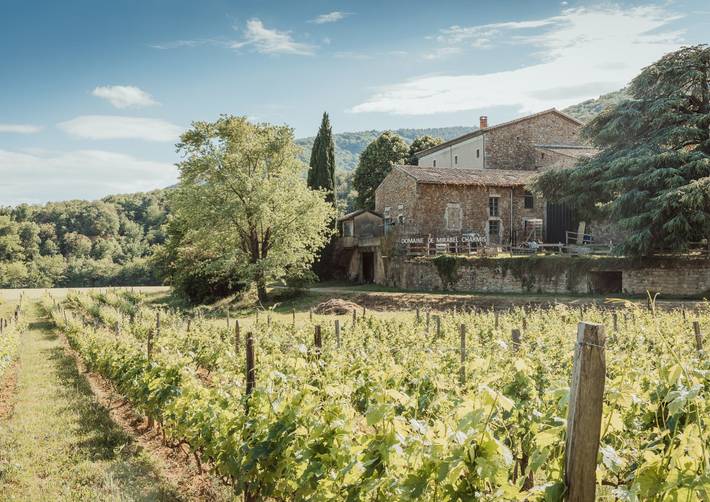 Gîte pour 11 personnes, avec jardin et terrasse, animaux acceptés