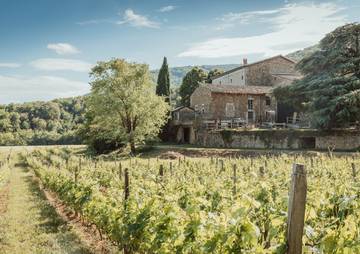 Gîte pour 11 personnes, avec terrasse et jardin, animaux acceptés à Charmes-sur-Rhône