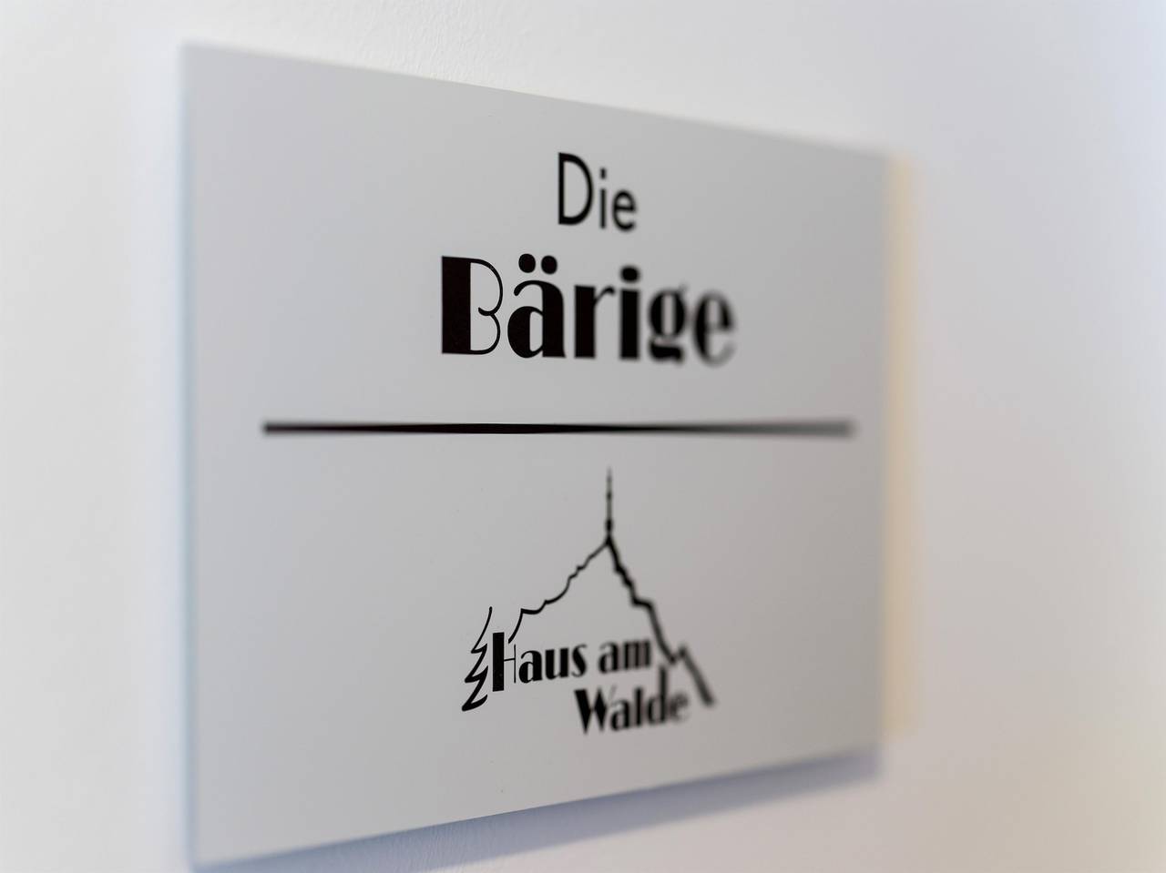 Ganze Ferienwohnung, Haus am Walde in Sankt Johann in Tirol, Kitzbüheler Alpen