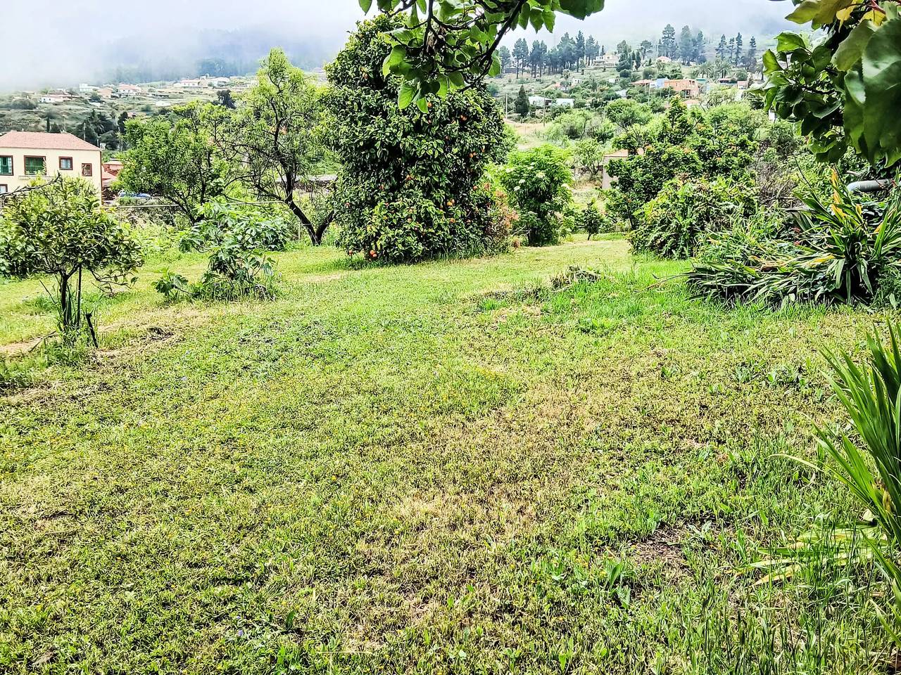 Casa 4 Personas in El Pino (La Palma), Puntagorda